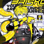 You are under arrest: sonny brisko zine